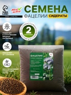 Семена Фацелия «Мой Выбор», 2 кг - Фото 1