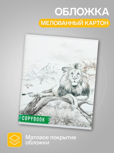 Комплект тетрадей из 4 штук, 96 листов в клетку Calligrata «Африка», обложка мелованный картон, блок №2, белизна 75% (серые листы)