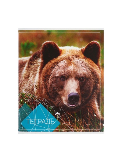 Набор тетрадей, 96 листов в клетку, Calligrata «Животные», серые листы, 4 штук