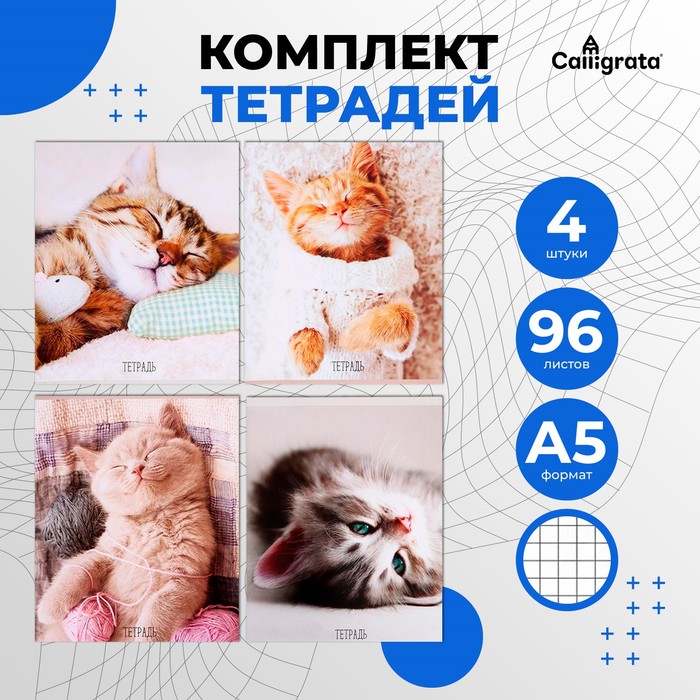 Комплект тетрадей из 4 штук, 96 листов в клетку Calligrata «Котики», обложка мелованный картон, блок офсет
