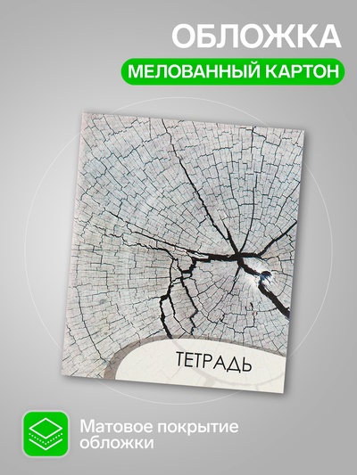 Комплект тетрадей из 4 штук, 96 листов в клетку Calligrata "Текстура 2", обложка мелованный картон, блок офсет