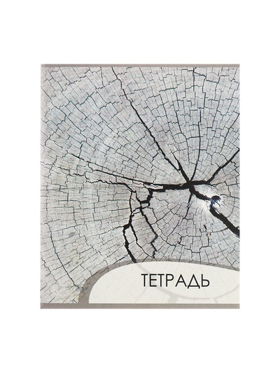 Комплект тетрадей из 4 штук, 96 листов в клетку Calligrata "Текстура 2", обложка мелованный картон, блок офсет