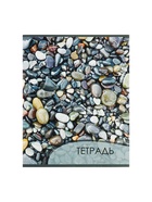 Комплект тетрадей из 4 штук, 96 листов в клетку Calligrata "Текстура 2", обложка мелованный картон, блок офсет 7726127