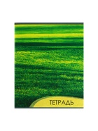 Комплект тетрадей из 4 штук, 96 листов в клетку Calligrata "Текстура 2", обложка мелованный картон, блок офсет 7726127