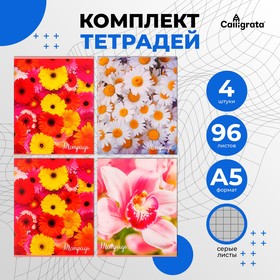 Комплект тетрадей из 4 штук, 96 листов в клетку Calligrata 