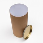 Тубус 120×260 мм (240 мм внутр. высота), картон, металлическая крышка - Фото 2