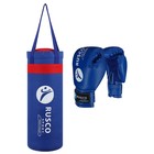 Набор боксёрский для начинающих RUSCO SPORT: мешок + перчатки, цвет синий (6 OZ) - фото 9682595