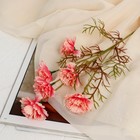 Цветы искусственные "Гвоздика кустовая" d-6 см 59 см, розовый - фото 320018835