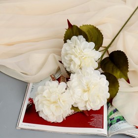 Цветы искусственные "Гибрид пиона" d-10 см 66 см белый