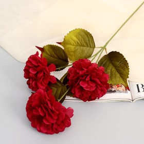 Цветы искусственные "Гибрид пиона" d-10 см 66 см, бордовый