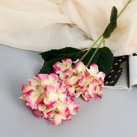 Цветы искусственные "Гортензия" d-10 см 70 см ярко-розовый