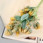 Цветы искусственные "Веточка хмеля" 45 см, жёлтый - фото 320147331