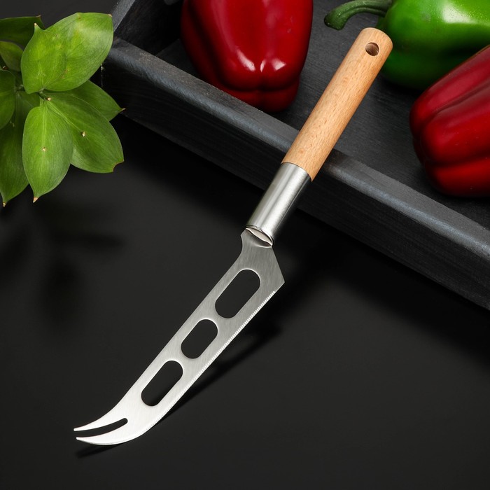 Нож для сыра Доляна «Валдай», нержавеющая сталь, цвет серебряный - Фото 1