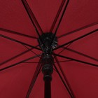 Зонт - трость полуавтоматический «Однотонный», 8 спиц, R = 50 см, цвет бордовый - Фото 3