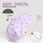 Зонт - трость полуавтоматический «Цветочки», 8 спиц, R = 51 см, цвет сиреневый - фото 318846268