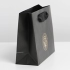 Пакет подарочный ламинированный горизонтальный, упаковка, «Лев», S 12 х 15 х 5,5 см - фото 21557901