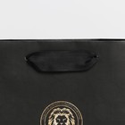 Пакет подарочный ламинированный горизонтальный, упаковка, «Лев», S 12 х 15 х 5,5 см - фото 21557902