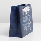 Пакет подарочный ламинированный горизонтальный, упаковка, «Super Hero», S 12 х 15 х 5,5 см - Фото 2