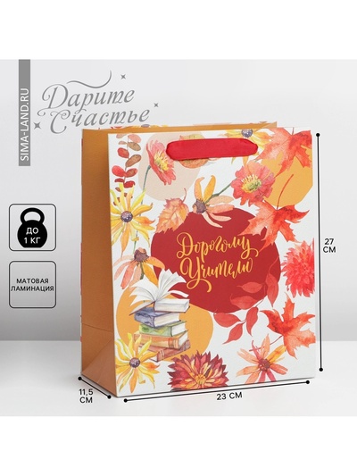 Пакет подарочный ламинированный, упаковка, «Дорогому учителю», ML 27×23×11.5 см