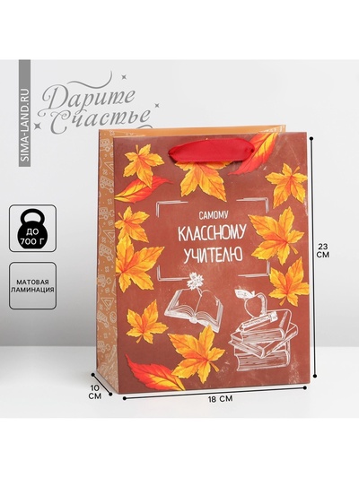 Пакет подарочный ламинированный, упаковка, «Классному учителю», MS 18×23×10 см