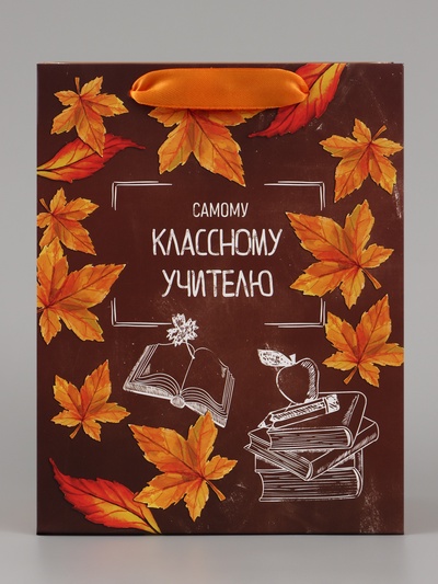 Пакет подарочный ламинированный, упаковка, «Классному учителю», MS 18×23×10 см