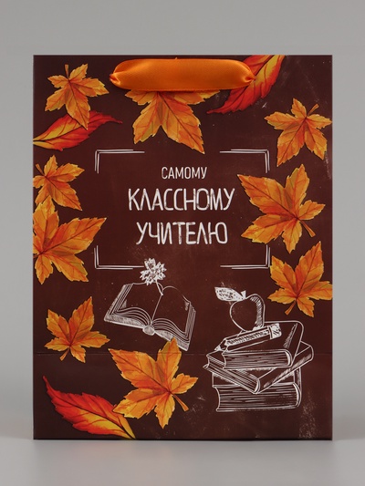 Пакет подарочный ламинированный, упаковка, «Классному учителю», MS 18×23×10 см
