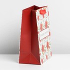 Пакет подарочный ламинированный вертикальный, упаковка, «Маки», MS 18 х 23 х 10 см - Фото 2