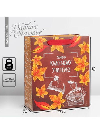 Пакет подарочный ламинированный, упаковка, «Учитель года», ML 27 х 23 х 11.5 см