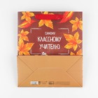 Пакет подарочный ламинированный вертикальный, упаковка, «Учитель года», ML 27 х 23 х 11,5 см 7489530 - фото 16154857