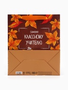 Пакет подарочный ламинированный «Учитель года», ML 27×23×11.5 см - Фото 5
