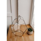 Флорариум «Бутон», стекло, швы чёрные - Фото 1