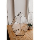 Флорариум «Бутон», стекло, швы чёрные - Фото 2