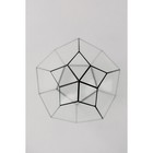 Флорариум «Бутон», стекло, швы чёрные - Фото 4