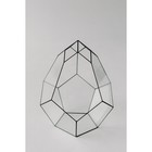 Флорариум «Бутон», стекло, швы чёрные - Фото 5