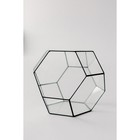 Флорариум «Усеченый октаэдр», швы черные - Фото 6