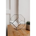 Флорариум «Усеченый октаэдр», швы серебро - фото 298684808