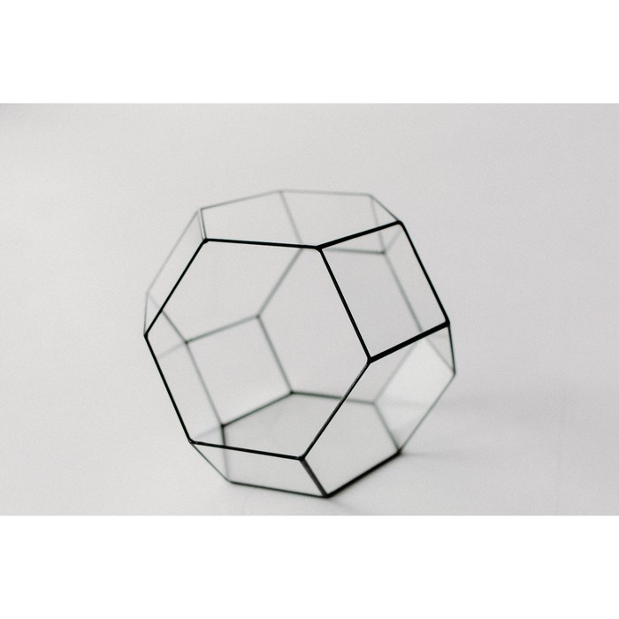 Флорариум «Усеченый октаэдр», швы серебро - фото 1908885967