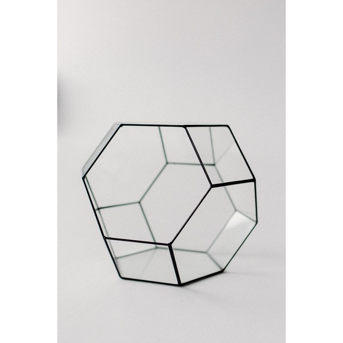 Флорариум «Усеченый октаэдр», швы серебро - фото 1908885968