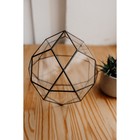 Флорариум «Смарт - 2», стекло, швы чёрные - Фото 1