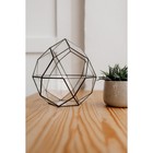 Флорариум «Смарт - 2», стекло, швы чёрные - Фото 2