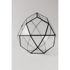 Флорариум «Смарт - 2», стекло, швы чёрные - Фото 3