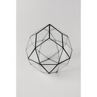 Флорариум «Смарт - 2», стекло, швы чёрные - Фото 4