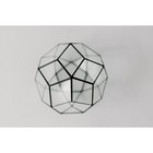 Флорариум «Смарт - 2», стекло, швы чёрные - Фото 5