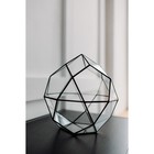 Флорариум «Смарт - 2», стекло, швы чёрные - Фото 6