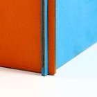 Домик для грызунов с лесенкой 25 х 22 х 22 см - фото 21558472