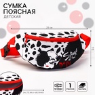 Сумка поясная, 25×6×13 см, Злодейки - Фото 3