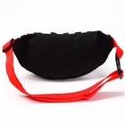 Сумка поясная, 25×6×13 см, Злодейки - Фото 7