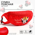 Сумка поясная,25х6х13 см, на молнии, Минни Маус. р-р ремня 48-93 см - фото 24363052