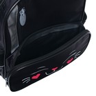 Рюкзак школьный, 37 х 26 х 13 см, эргономичная спинка, Calligrata ОРТ "Мордочка кота" - фото 44616819