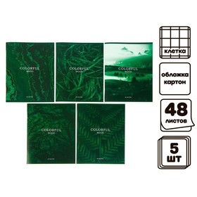 Комплект тетрадей из 5 штук, 48 листов в клетку Calligrata "Изумруд", обложка мелованный картон, блок №2, белизна 75% (серые листы)
